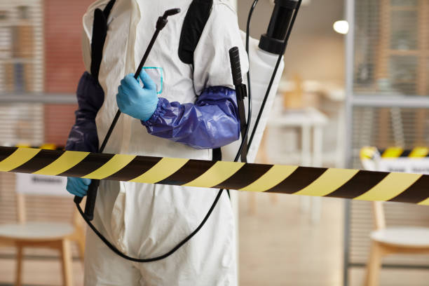 Professional Sewage Cleanup technician working in Garrison, TX